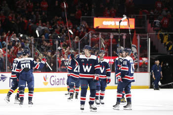 Washington Capitals get it right with free little library