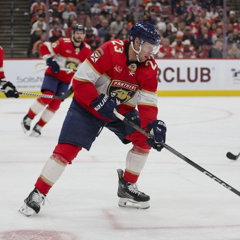 Washington Capitals vs. Florida Panthers Prediction, Preview, and Odds
