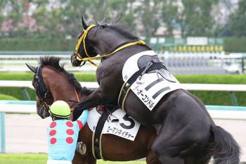 Watch 📺 Colt tries to mount another colt prior to race