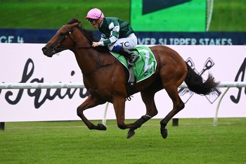 Waterhouse & Bott Aim for Golden Slipper Glory with Straight Charge, Espionage