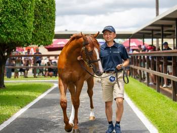 Waterhouse dancing after buying Sunlight colt