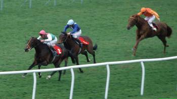 We believed Dancing Brave could fly
