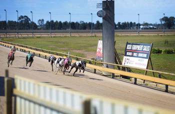 ‘We can’t wait for this weekend’: Shepparton Cup returns with bumper night of festivities