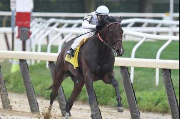 We the People favored, Rich Strike to run at Belmont Stakes