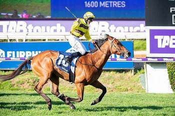 Webster: Trix Of The Trade Ready For Big Guns In Northerly Stakes