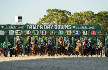Wednesday wagers: Kinchen should crush competition at Tampa