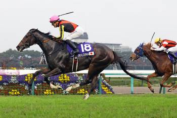 Weekend graded stakes mark horse racing action from Japan to Canada