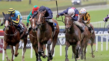 Weekend Winners: Above The Curve a cracking chance at Ascot on British Champions Day!