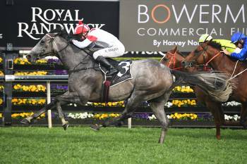 Well-related siblings feature in Randwick entries