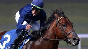 Wesley Ward relishing Breeders' Cup clash with Highfield Princess