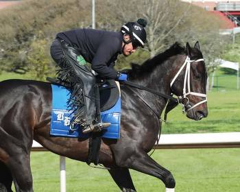 Wet Paint Looks To Become Second Horse to Sweep Oaklawn Oaks Preps