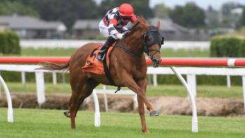Wewillrock coming home for attempt at Foxbridge Plate