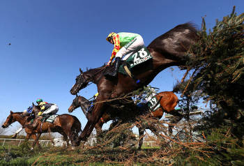 What are Grand National fences made of at Aintree Racecourse?