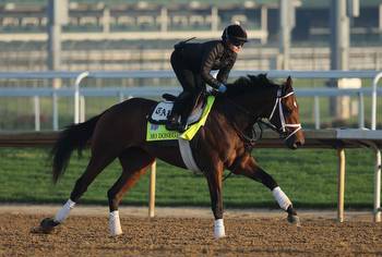 What to know about Mo Donegal before placing Kentucky Derby bet