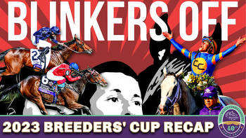 What We Learned From the 2023 Breeders' Cup