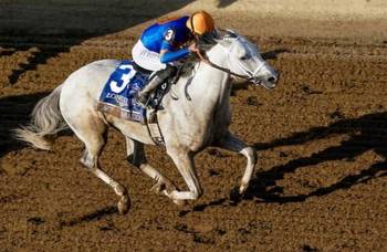 What we learned: White Abarrio is flawless in Classic win