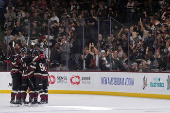 What Your Team Is Thankful For: Arizona Coyotes
