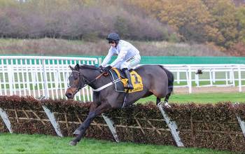 When is Fighting Fifth Hurdle? Newcastle date, time, runners, betting