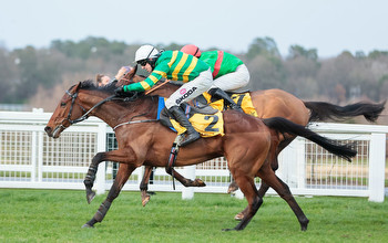 When is the Ascot Chase 2024? Ascot date, time, runners, betting