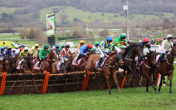 When is the Boodles Juvenile Hurdle? Cheltenham date, time, runners, betting