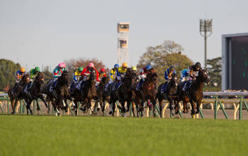 When is the Japan Cup? Tokyo date, start time, runners and betting