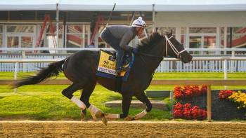 Where to Bet on Preakness Stakes Online