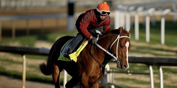 Where to Watch Preakness Stakes 2023 Online: Livestream, Schedule, Odds