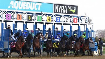 Where to Watch/Listen: Horse Racing Coverage Nov. 29-Dec. 3