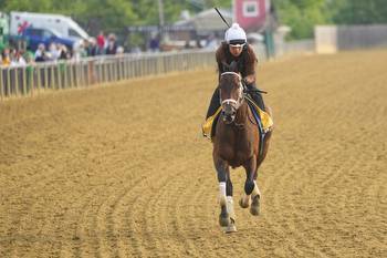 Which States Can You Bet on the 2023 Preakness Stakes In?