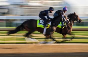 Which States Can You Bet on the Kentucky Derby In?