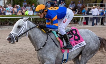 White Abarrio Breeders' Cup Classic Odds: +400 2nd Favorite