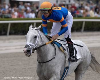White Abarrio Looks to Double up on G1s in Carter Handicap