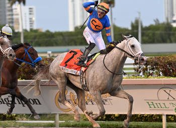 White Abarrio Triumphs in Florida Derby