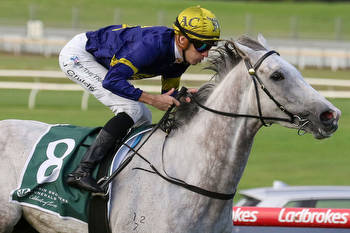 White Marlin cements Melbourne Cup favouritism at Sandown