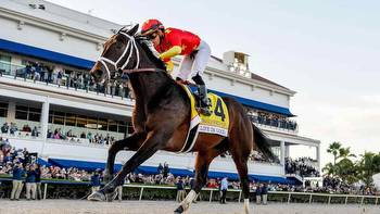 Whitney Stakes Odds, Predictions, Picks (Saratoga)