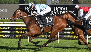 Who is bred to win the VRC Oaks?