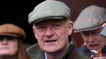 Who is James du Berlais? Timeform reveal all you need to know about Willie Mullins' French import