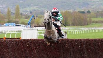 Who remains in contention for the December Gold Cup at Cheltenham?
