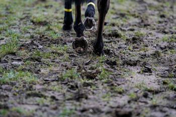 Who Will Champion the Mud on Ascot’s Champions Day?