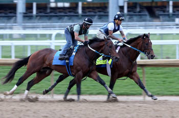 Who will win the Kentucky Derby? Expert picks