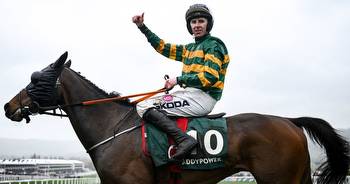 Who won the 3:30 Stayers' Hurdle at the Cheltenham Festival?