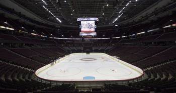 Why a downtown Ottawa Senators arena could be a ‘game changer’ for the capital