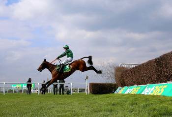 Why an £800 horse can win the Cheltenham Gold Cup