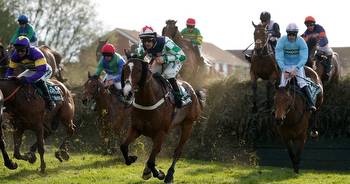 Why Do Horses Die At The Grand National?