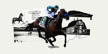 Why Flightline, the Breeders’ Cup favorite, is the fastest horse you’ve never heard of