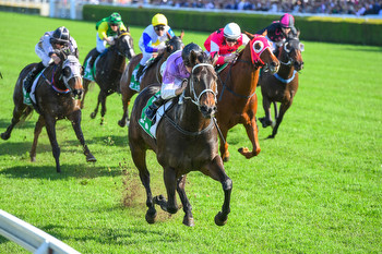 Why Melbourne Cup Day Is Australia's Biggest Sporting Event