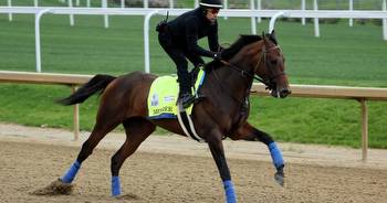 Why Messier the Kentucky Derby horse was named after NHL legend Mark Messier