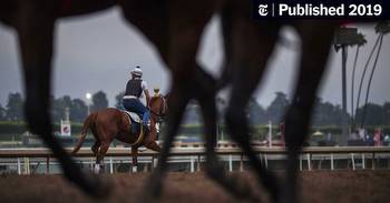 Why So Many Horses Have Died at Santa Anita
