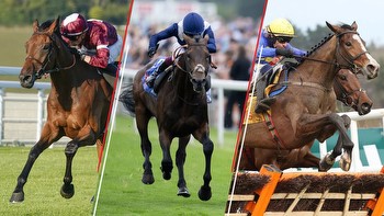 why this horse can win the 2023 Cesarewitch on Saturday plus 1-2-3 predictions