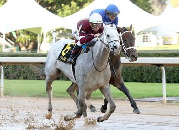 Wicked Halo Storms To Matron S. Win At Oaklawn